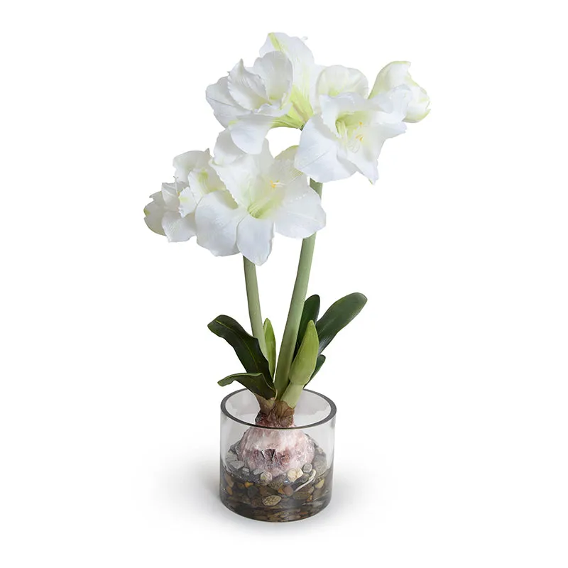 Amaryllis in Glass 28"H - Large