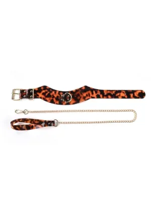 Amber Collar With Leash