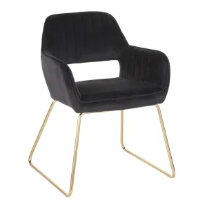 Dory Contemporary/Glam Dining Chair in Gold Metal and Black Velvet Fabric by LumiSource