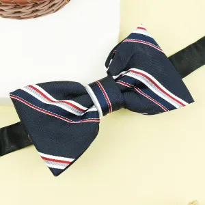 Kavove The Striped Trend Setter Blue Colour Bow Tie