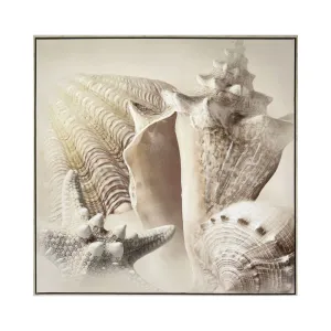 Shells II Canvas with Natural White Wash Frame - 800x800